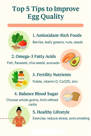 “Top 5 natural tips to improve egg quality and support AMH levels”