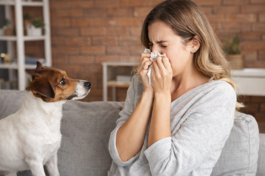 Woman sneezing due to dust allergy and pet dander causing allergic rhinitis symptoms