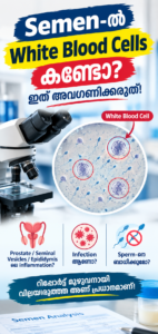 “Semen-ൽ White Blood Cells കണ്ടോ?